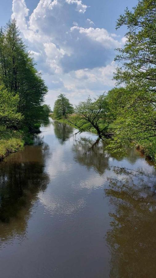 Dom W Trawach Lägenhet Smoldzinski Las Exteriör bild